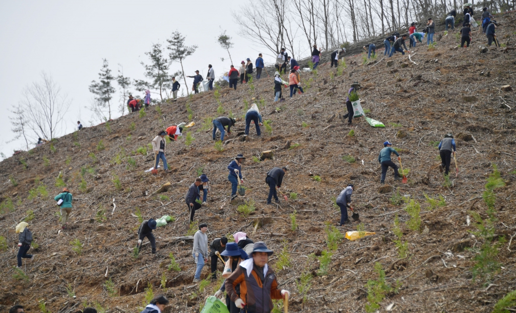 제79회 식목일 기념 나무심기 행사(벌곡면 대덕리 산51-6) 2024.04.02(화) 이미지(20)