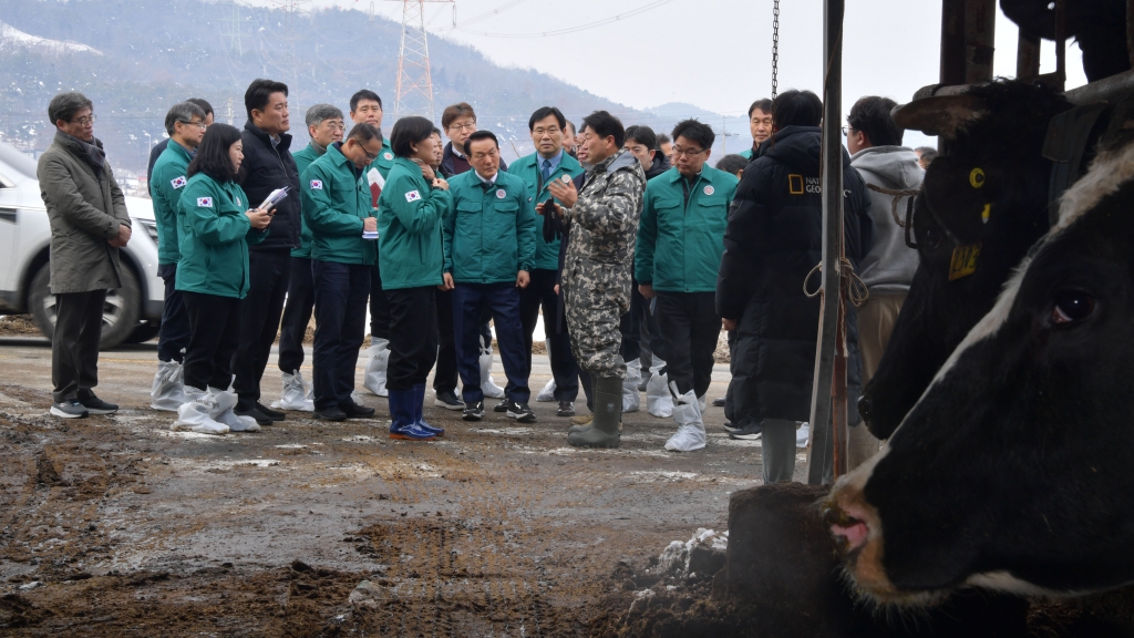 송미령 농림축산식품부 장관, 고병원성 AI 방역현장 및 대설피해 현장 점검  이미지(13)