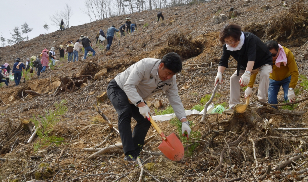 제79회 식목일 기념 나무심기 행사(벌곡면 대덕리 산51-6) 2024.04.02(화) 이미지(12)